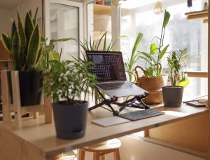 A laptop sitting in a stand on a wooden desk surrounded by lots of potted plants.