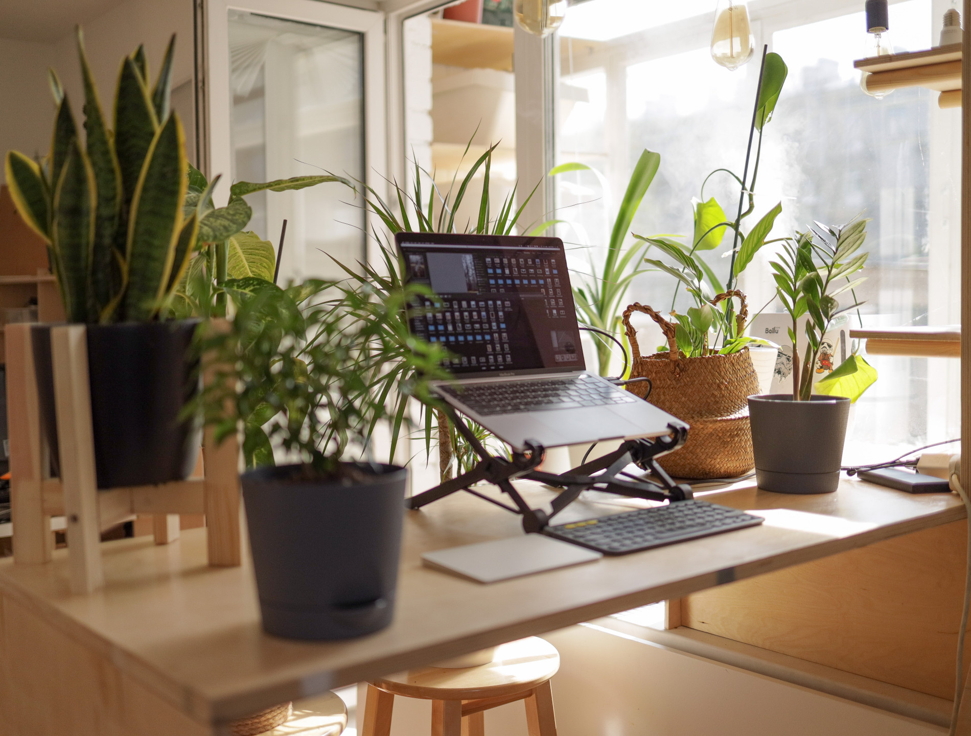 A laptop sitting in a stand on a wooden desk surrounded by lots of potted plants.